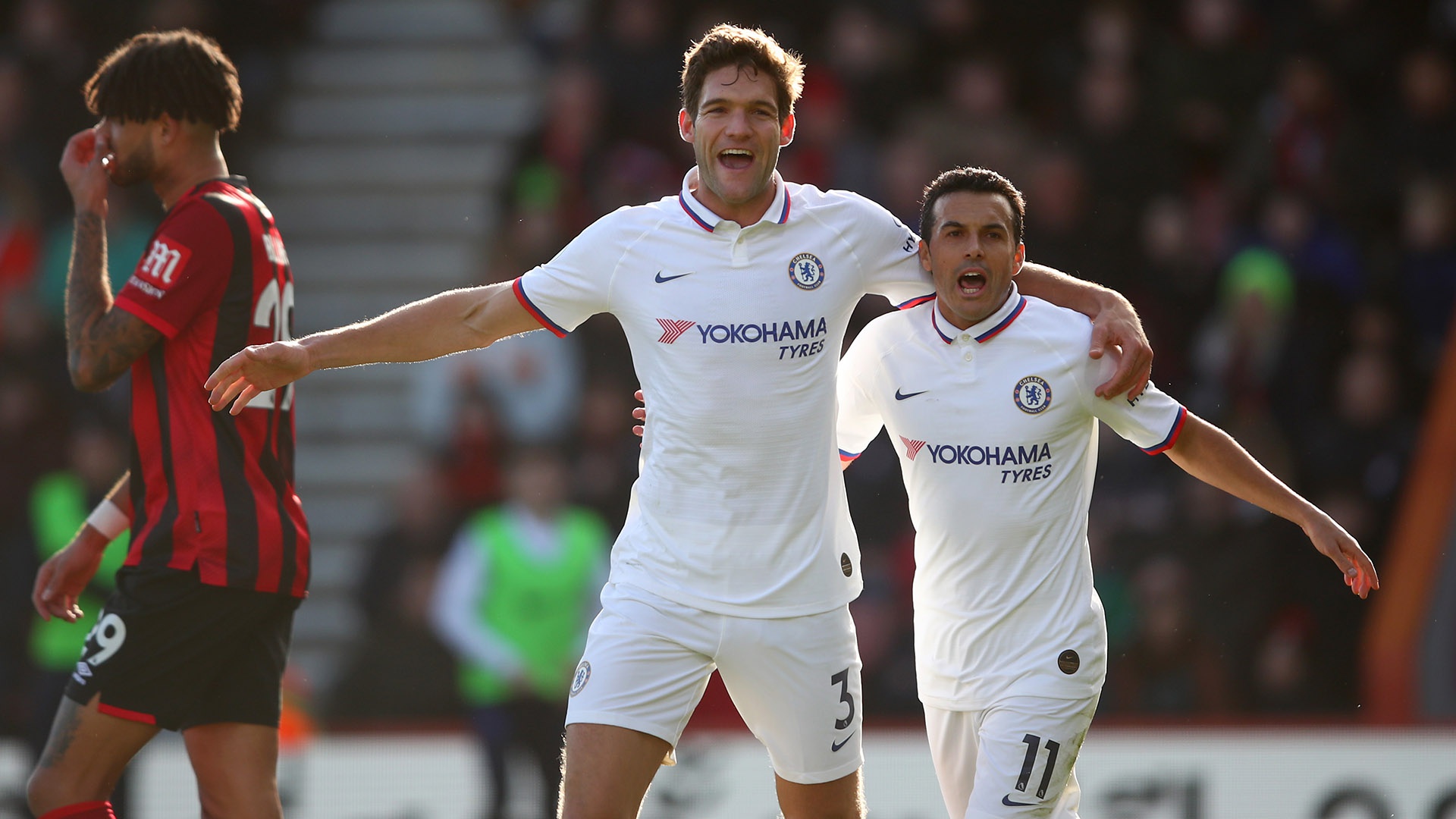 球迷支持 球迷支持