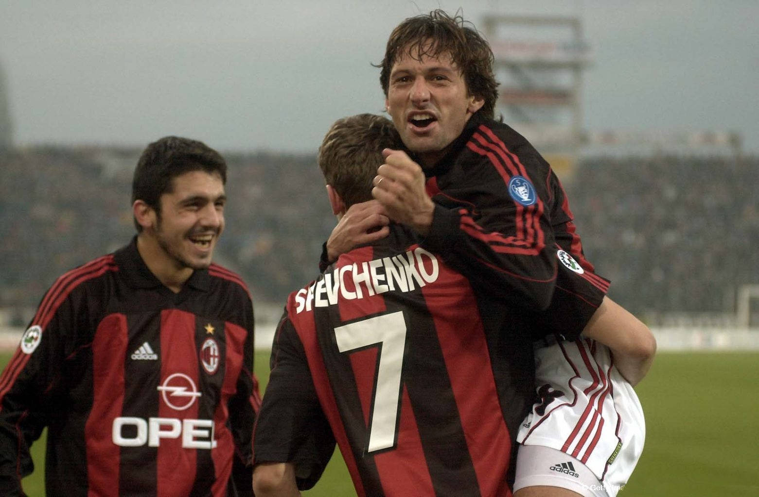 整个球队的 整个球队的