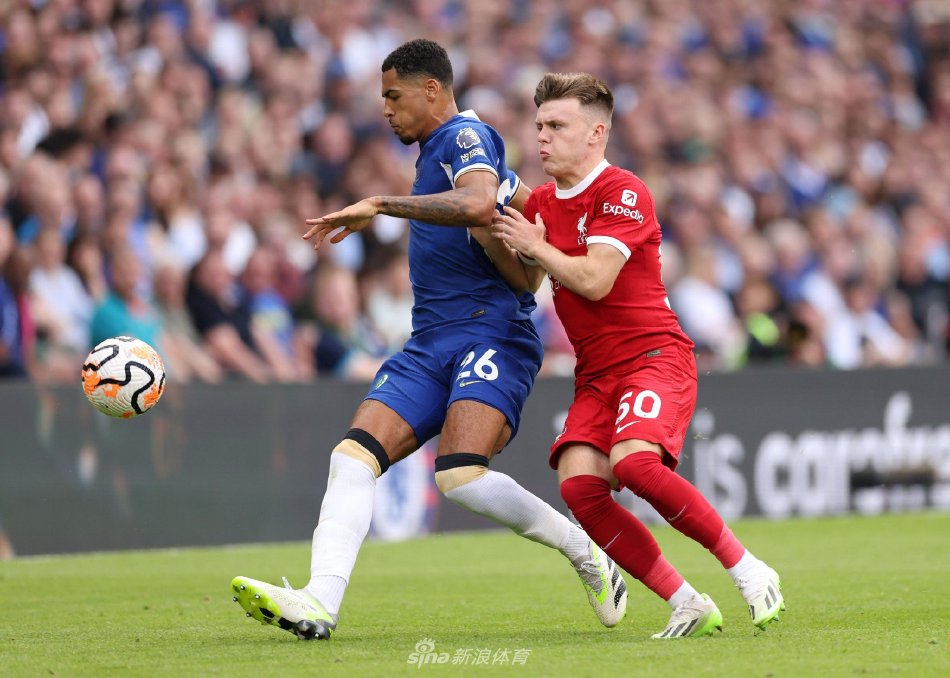 人热衷于体 人热衷于体